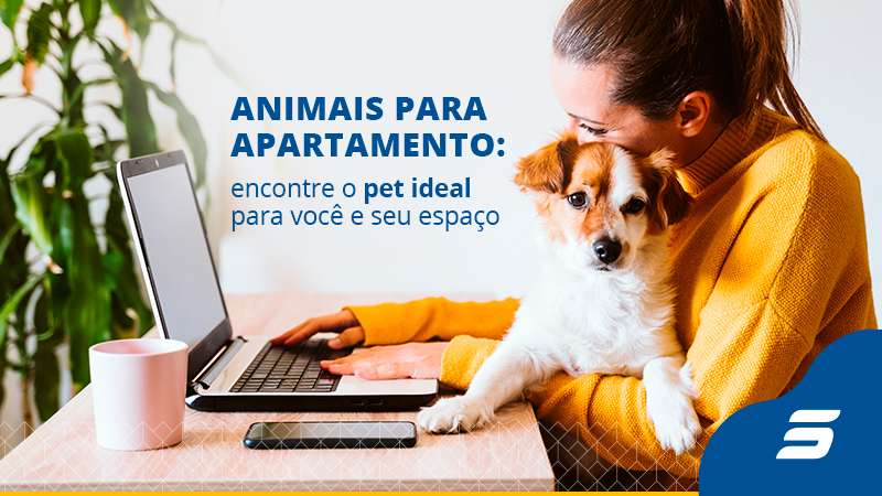 Escolher um pet para morar em um apartamento nem sempre é uma tarefa simples. Porém é possível criar, de forma saudável, um animal em um espaço reduzido. Confira a lista abaixo e veja qual se encaixa perfeitamente na sua vida. 